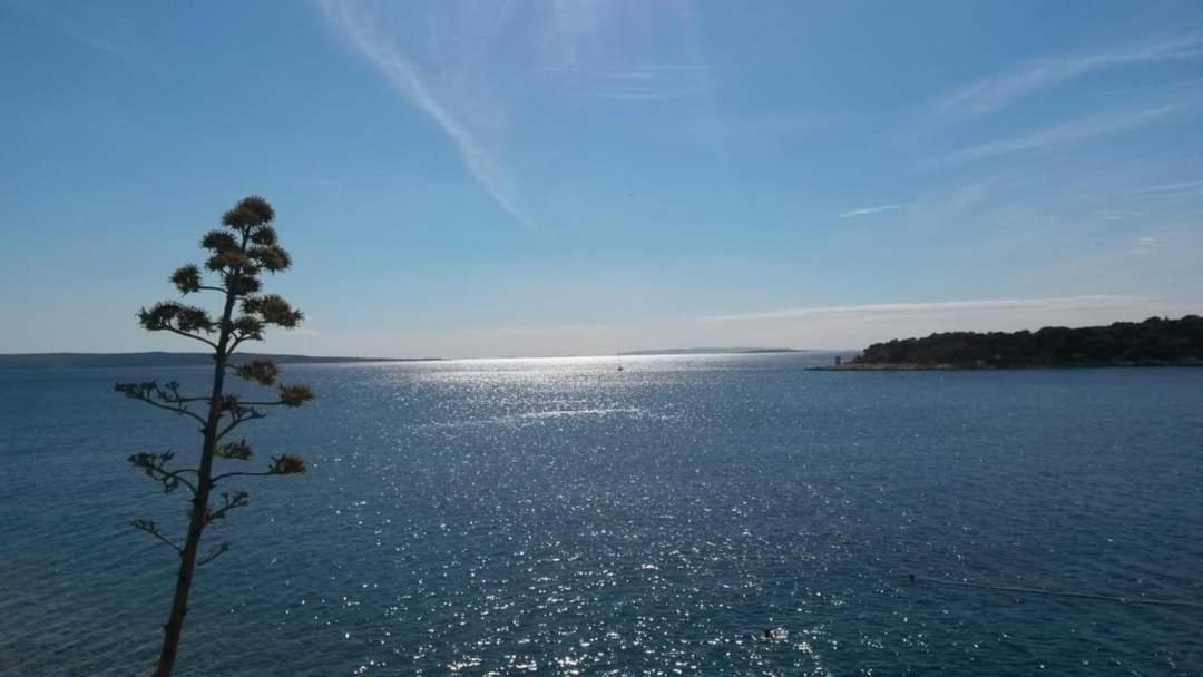Apartman Belisima Deluxe Supetarska Draga Dış mekan fotoğraf